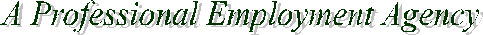 A Professional Employment Agency
