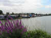 Barton Marina.web.jpg (124552 bytes)